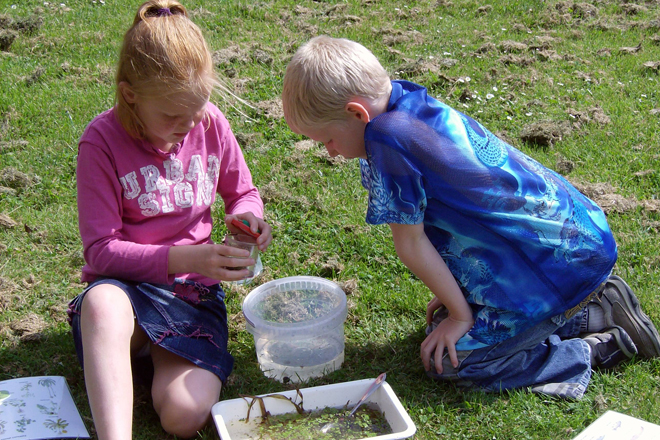 Natuurcentrum Arnhem - Beestjes in het water